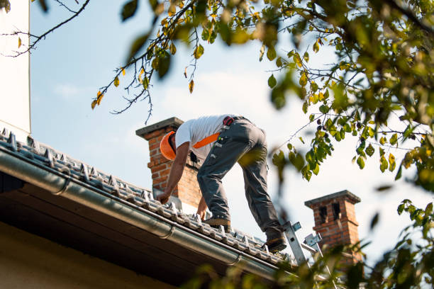 Roof Gutter Cleaning in Ellwood City, PA