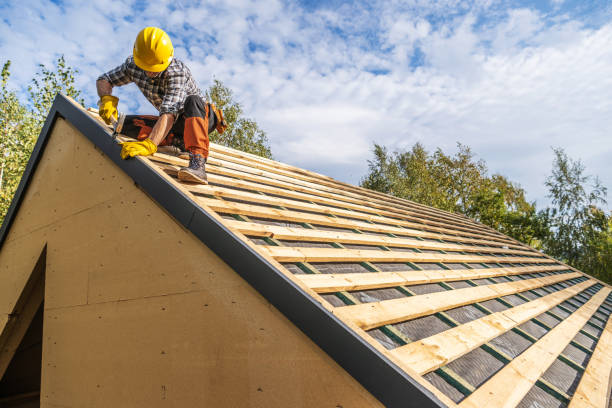 Best Roof Gutter Cleaning  in Ellwood City, PA
